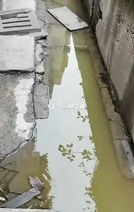 DƬ